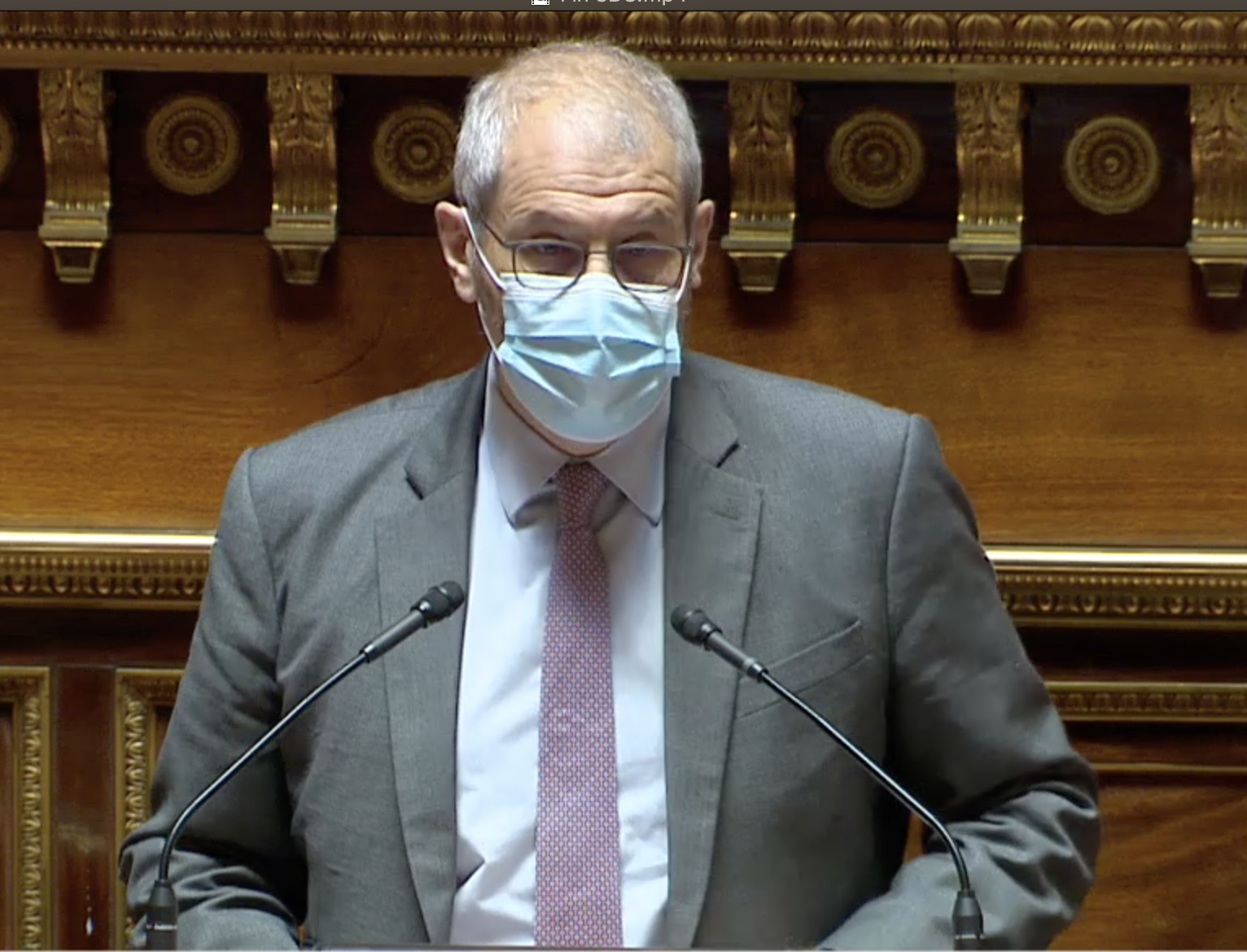 Featured image for “Projet de loi 3DS I Un texte mal né, achevé par la majorité sénatoriale”